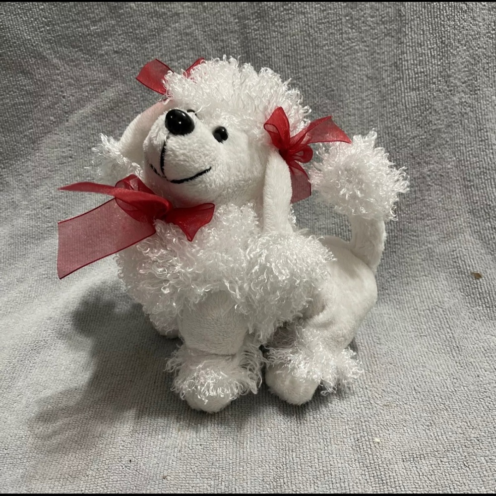 Miniature Cute Valentine Poodle With Bows